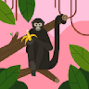 Meet your Posher, Florencia